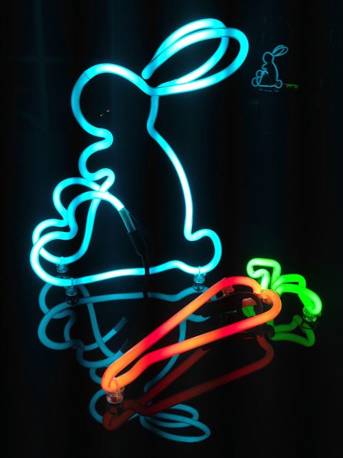 Neon Bunny and Carrott