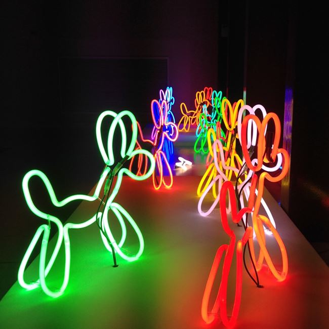 Neon Dogs