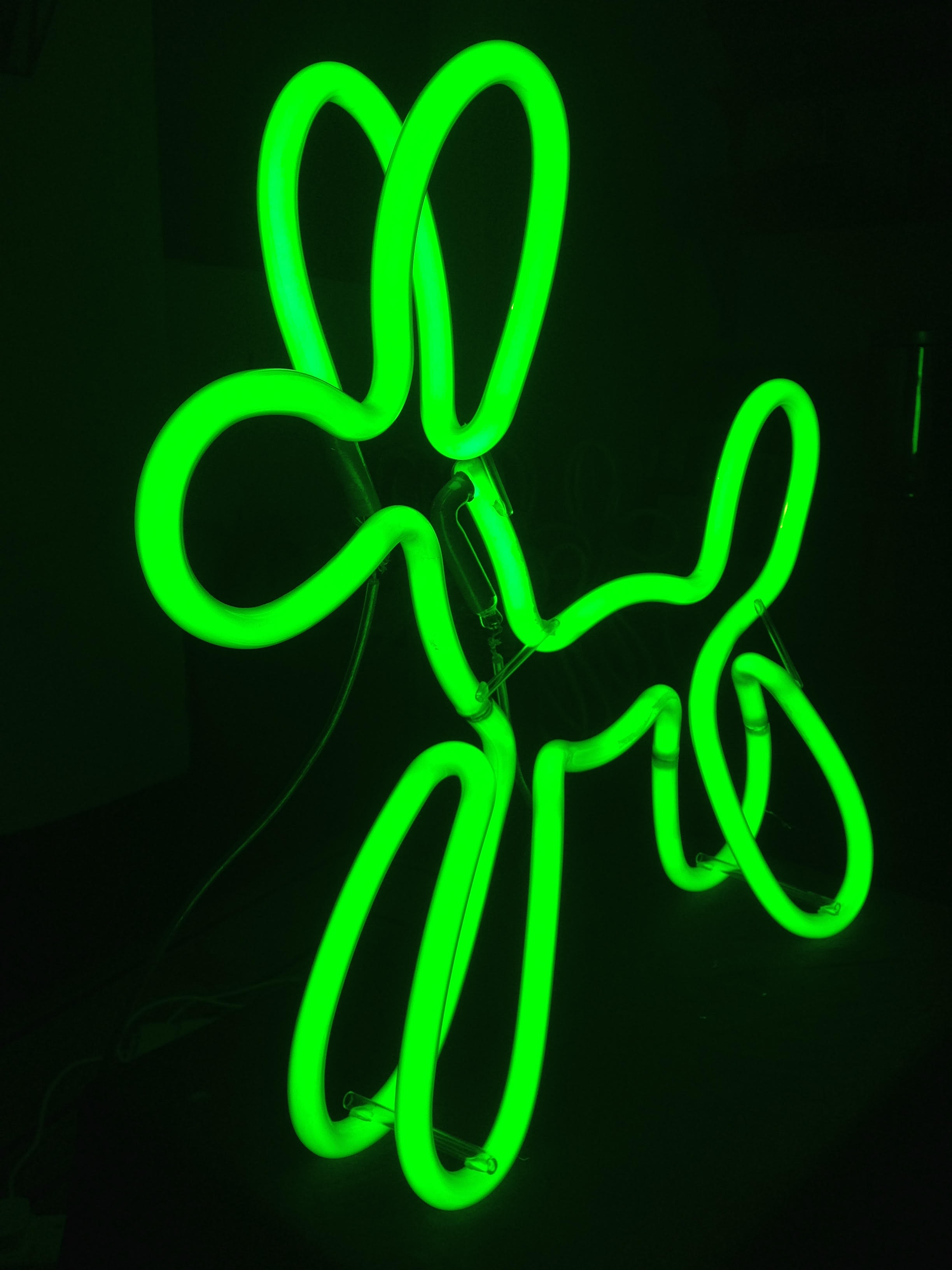 Green Neon Dog