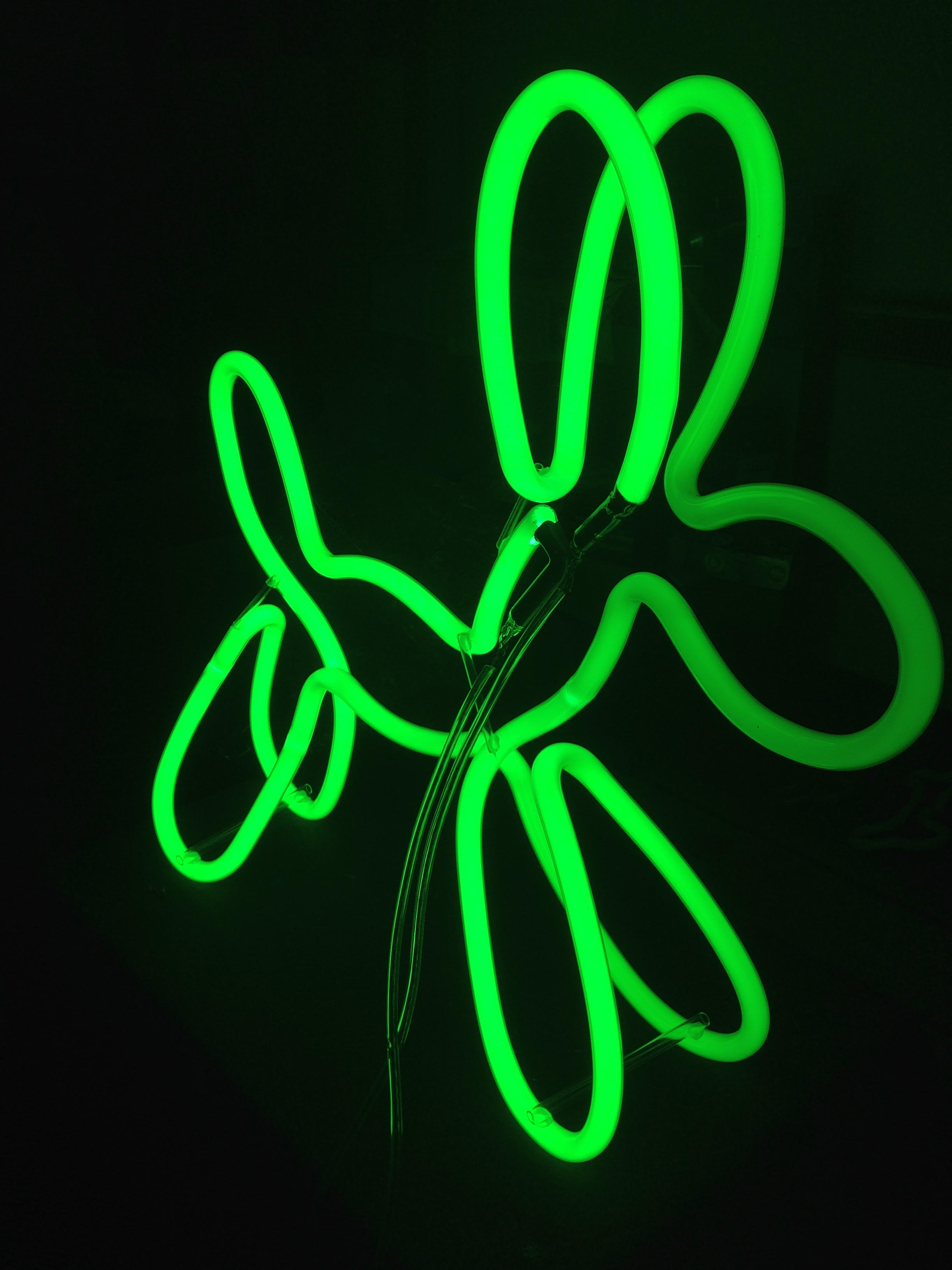 Light Green Neon Dog